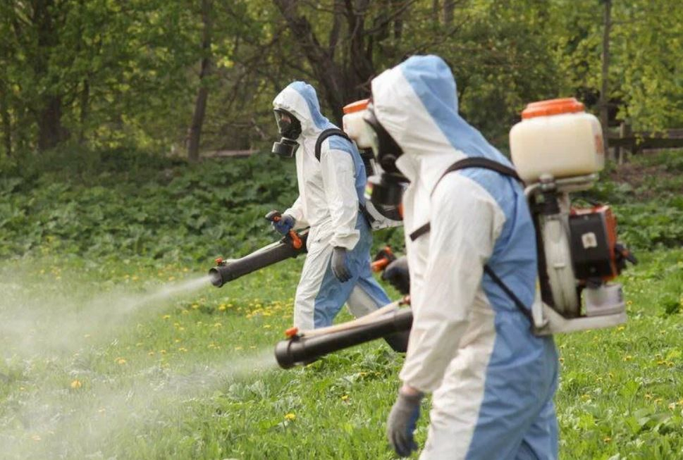 ФОТО Уничтожение клопов в поселке Московской области центральной усадьбы совхоза Мир