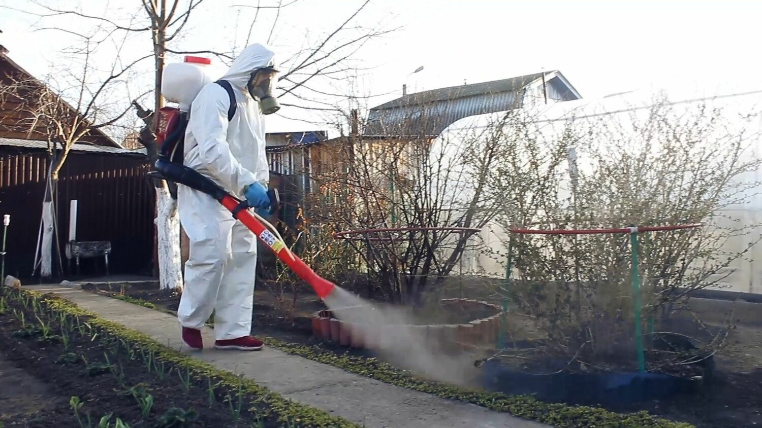ФОТО Уничтожение муравьёв в поселке Московской области центральной усадьбы совхоза Мир