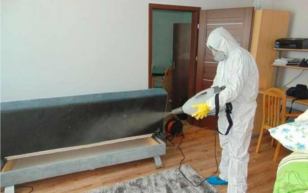 ФОТО Уничтожение блох в поселке Московской области центральной усадьбы совхоза Мир