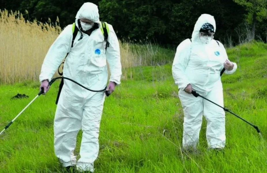 ФОТО Обработка от клещей в поселке Московской области центральной усадьбы совхоза Мир