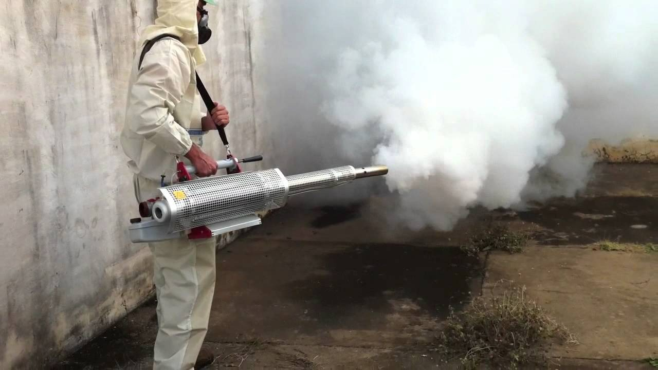 ФОТО Уничтожение мух в поселке Московской области центральной усадьбы совхоза Мир