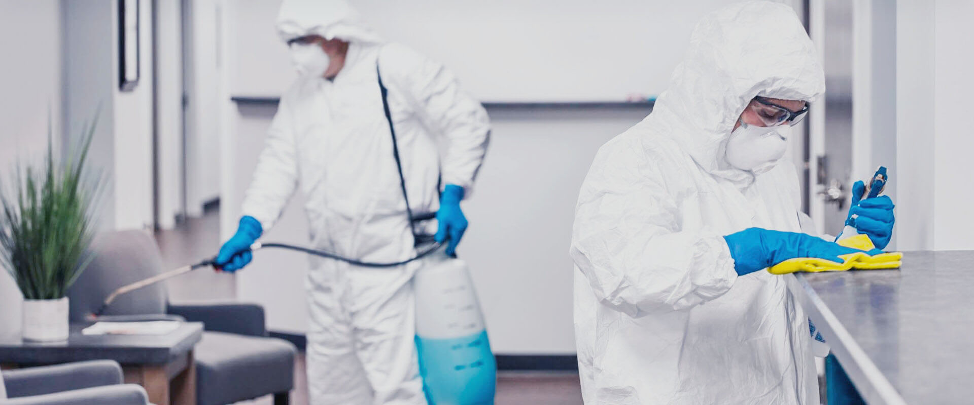 ФОТО В чем разница между дезинфекцией и дезинсекцией в поселке Московской области центральной усадьбы совхоза Мир? | подробно