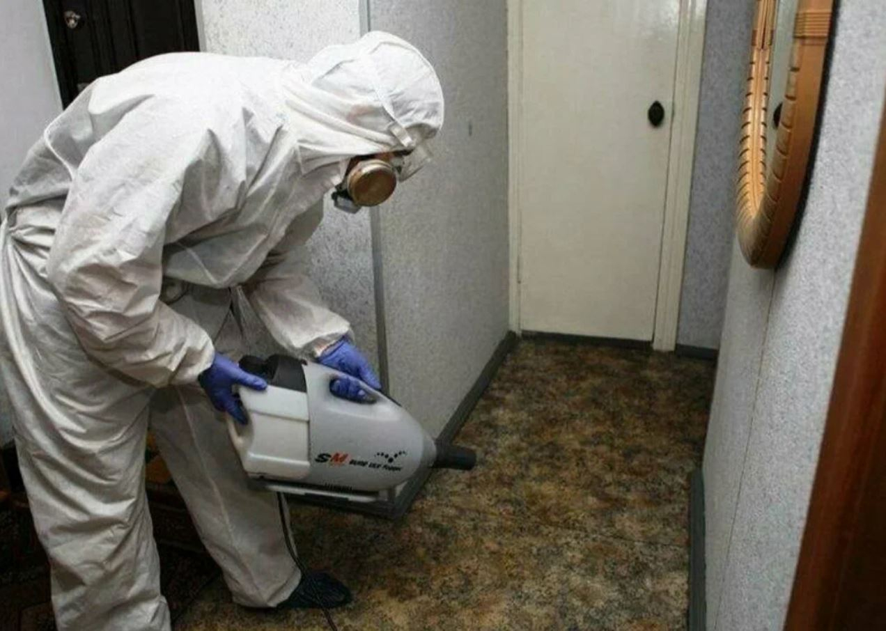 ФОТО Какие методы обработки для дезинсекции существуют в поселке Московской области центральной усадьбы совхоза Мир? | подробно