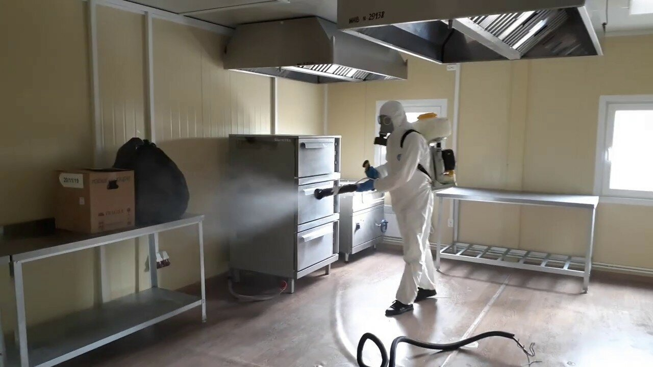 ФОТО Можно ли провести дезинсекцию самостоятельно и какие существуют риски в поселке Московской области центральной усадьбы совхоза Мир? | подробно