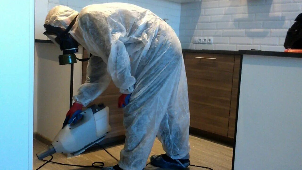 ФОТО Как подготовить домашних животных к обработке от насекомых в поселке Московской области центральной усадьбы совхоза Мир? | подробно