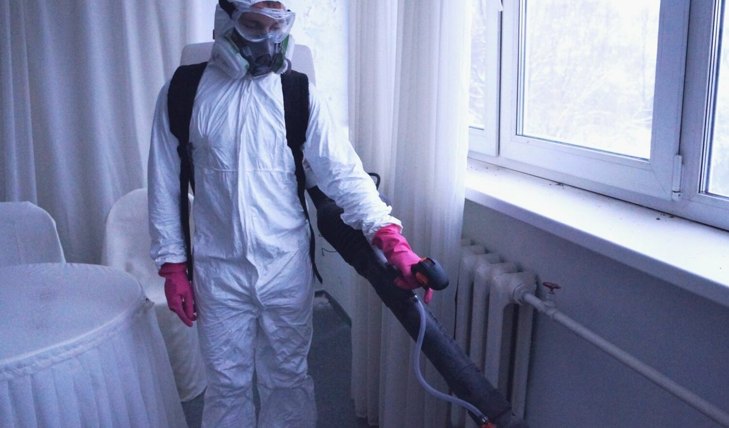 ФОТО Нужно ли выносить растения при дезинсекции в поселке Московской области центральной усадьбы совхоза Мир? | подробно