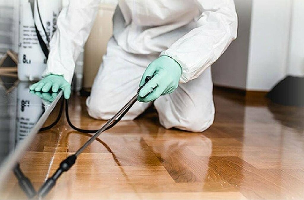 ФОТО Как подготовить вентиляцию при предстоящей дезинсекции в поселке Московской области центральной усадьбы совхоза Мир?