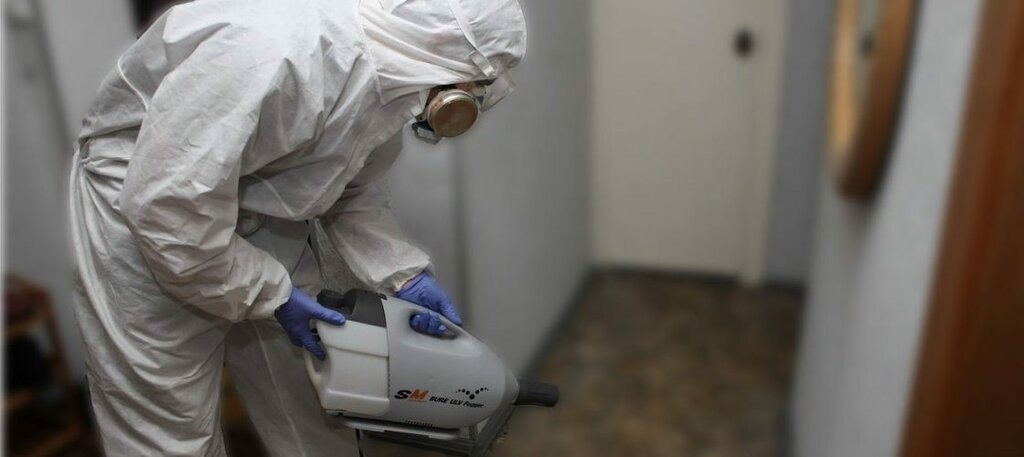 ФОТО Остаются ли следы после обработки квартиры от насекомых в поселке Московской области центральной усадьбы совхоза Мир? | подробно