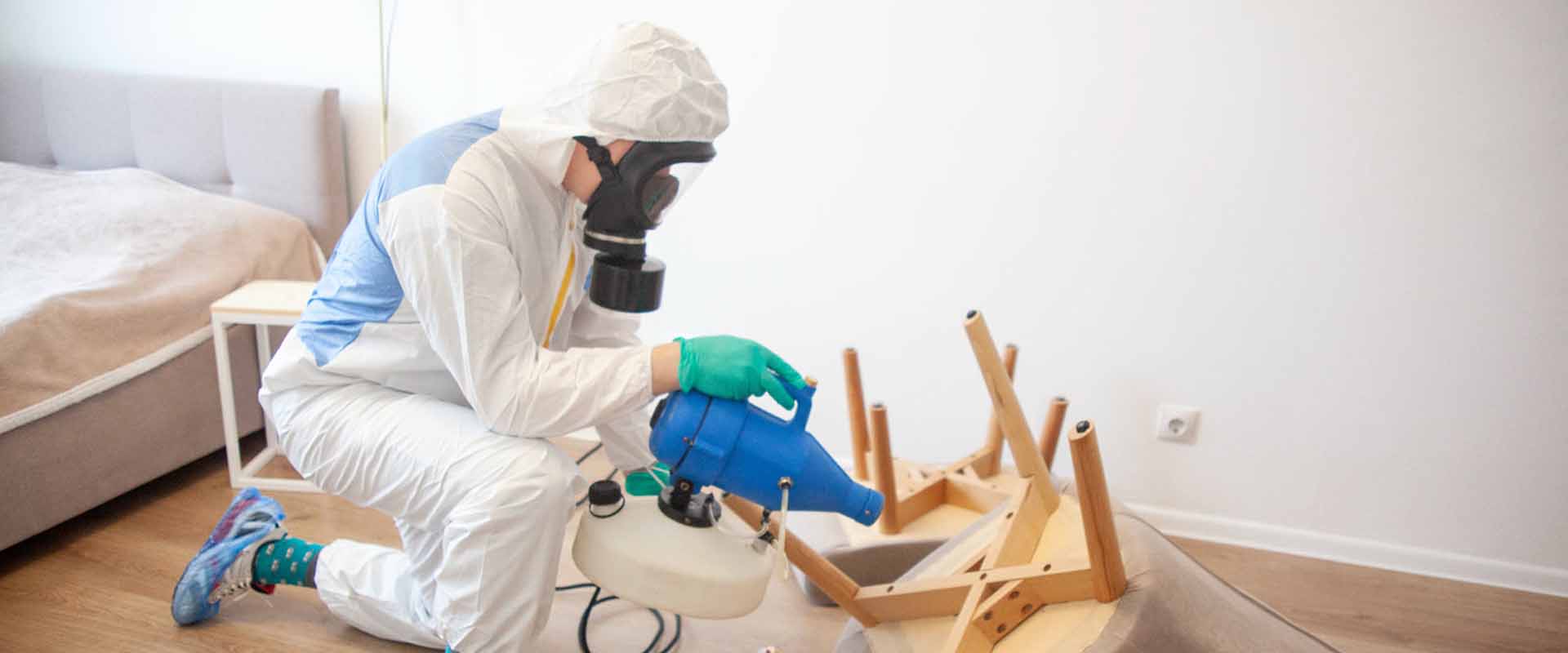 фото: Уничтожение постельных клопов с 1-го раза с гарантией за 30-60 мин. в поселке Московской области центральной усадьбы совхоза Мир без предоплаты