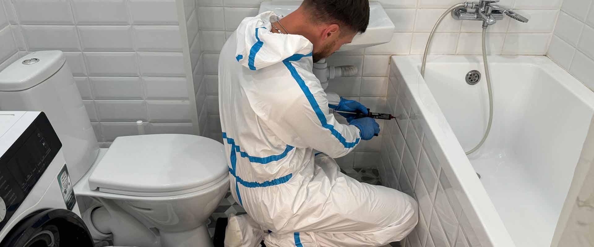 фото: Уничтожение тараканов навсегда с 1-го раза с гарантией за 30-60 мин. в поселке Московской области центральной усадьбы совхоза Мир