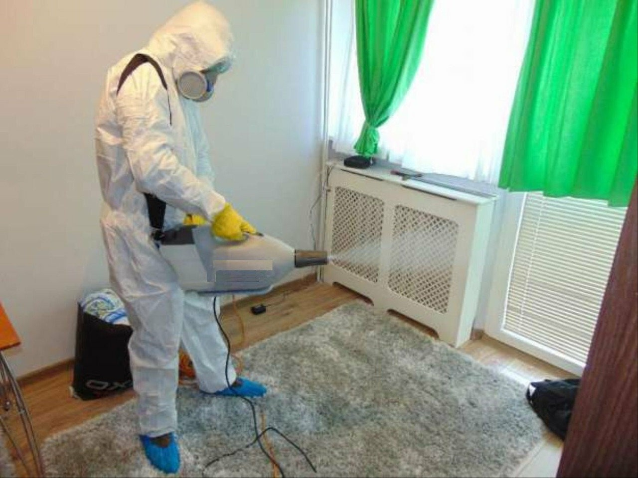 фото: Уничтожение насекомых навсегда с 1-го раза с гарантией за 30-60 мин. в поселке Московской области центральной усадьбы совхоза Мир